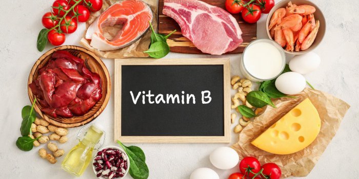Le rôle de la vitamine B